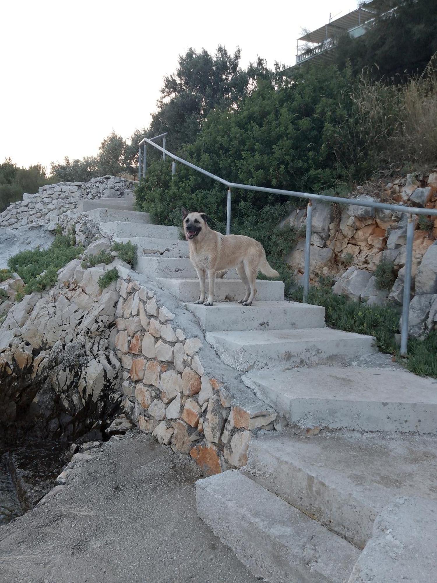Villa Pinky And Superior Trogir Сегет-Враница Экстерьер фото