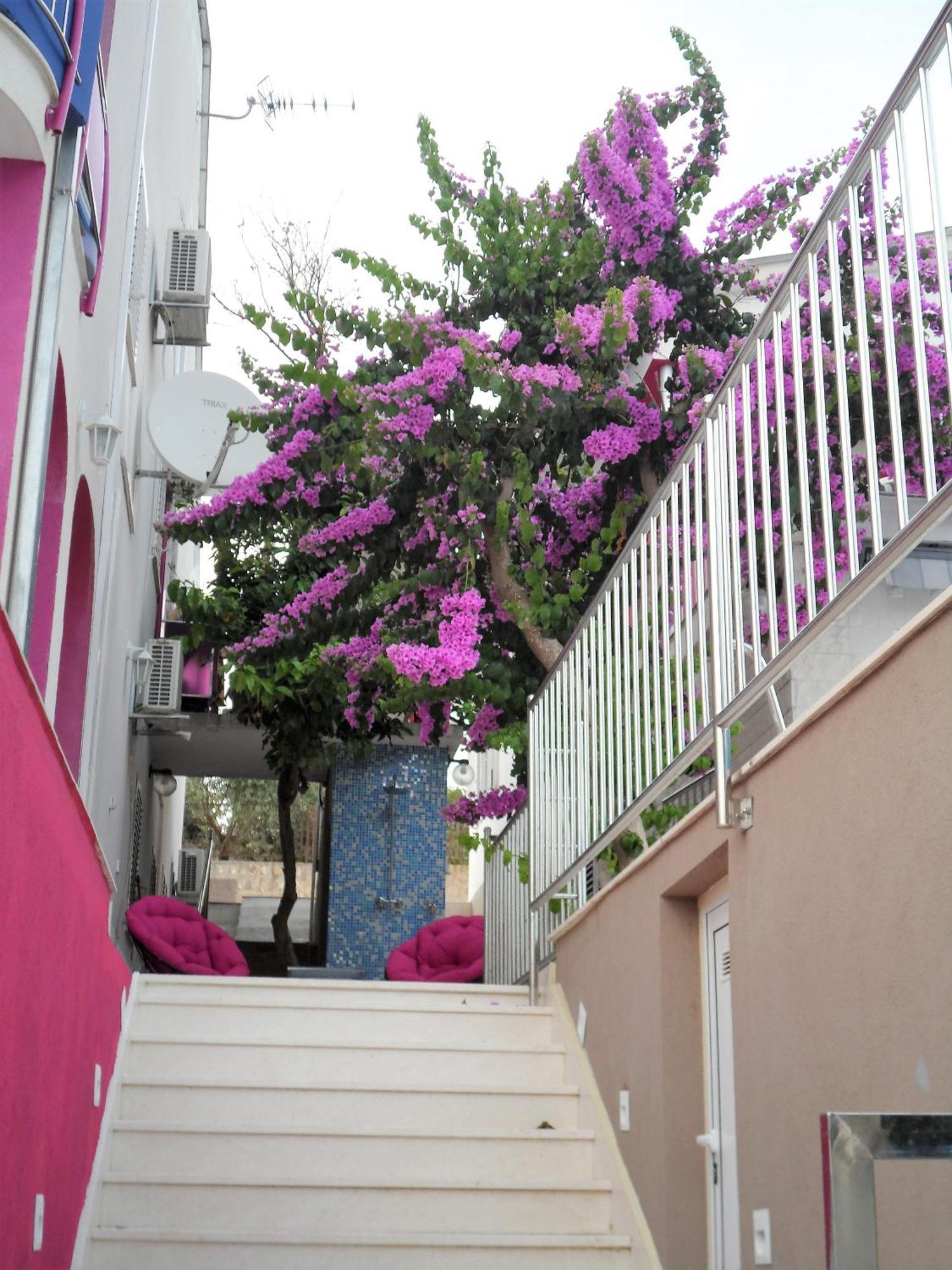 Villa Pinky And Superior Trogir Сегет-Враница Экстерьер фото